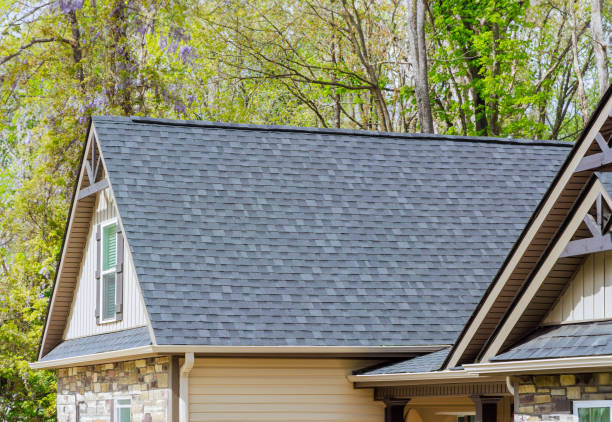 Best Green or Eco-Friendly Roofing Solutions  in Hoopeston, IL